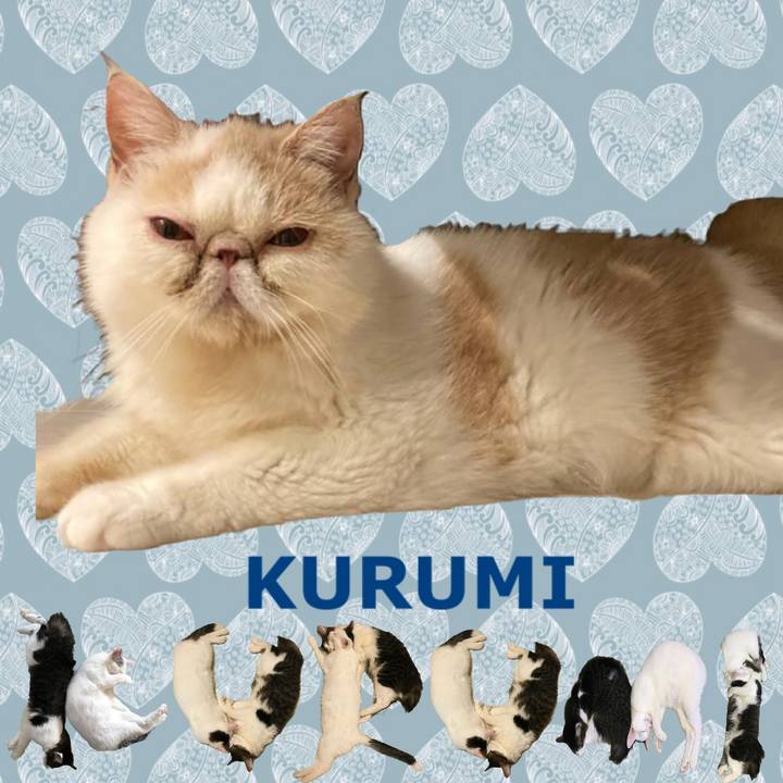 D5e95ee7 71ec 4128 8e58 3bb5b78dab3f 1667791254483