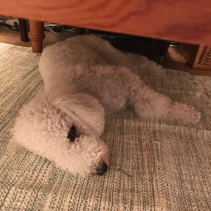 D5e9645c f5ce 489f b814 5dc6a02b7306 1624456674223