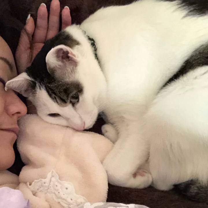 D5e97c5a f872 4aac a5d8 94e216c6541b 1544758815814