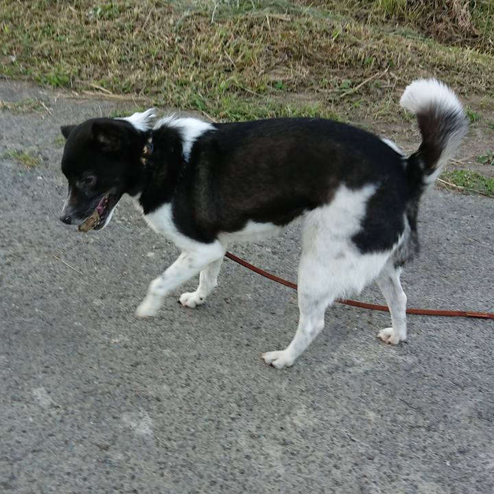 D5e990a3 7bae 4958 8340 62227c24d68c 1591525724779