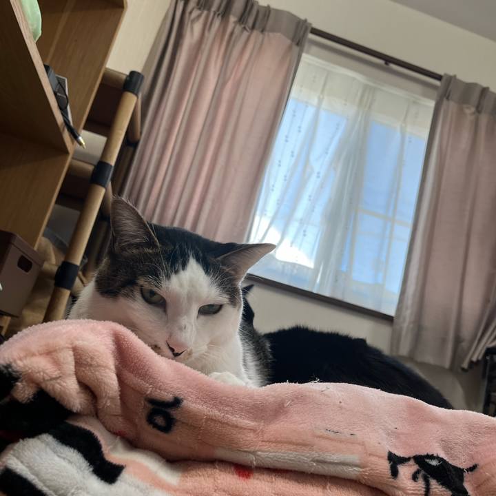 D5e99277 2267 4d5e b716 5a4e3280dae1 1702009783268