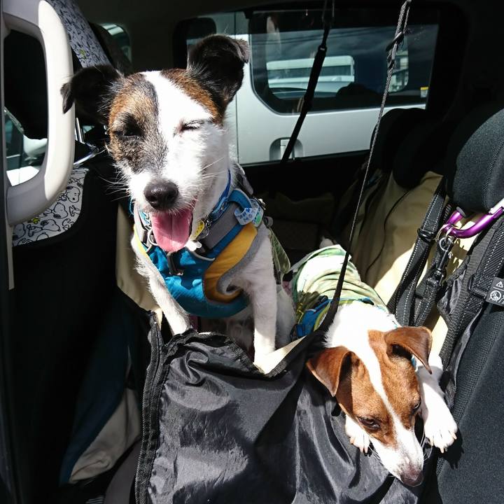 D5e9b7f6 7f0a 432e af39 0d67b303cec7 1569214109208