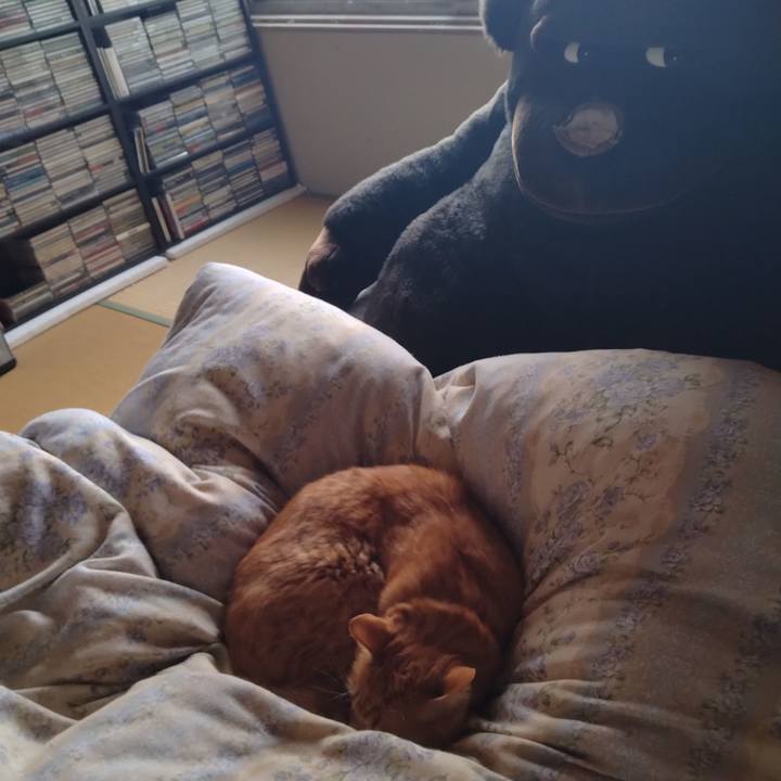 D5e9bb5d 9e84 494c 9a61 f7d8068c59e1 1666655621105