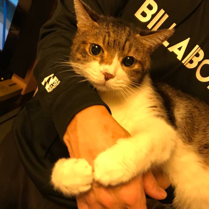 D5e9c9b0 17ef 4f06 ac18 32087b835843 1537746971244