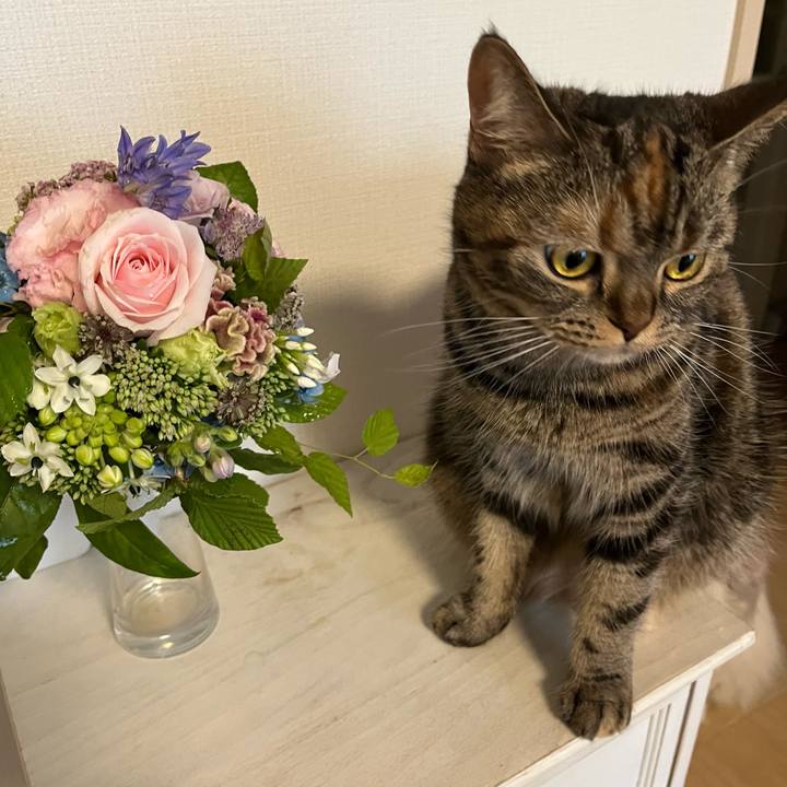 D5ea21f3 dab9 4689 8bd5 a356de6f5aa2 1665310687998