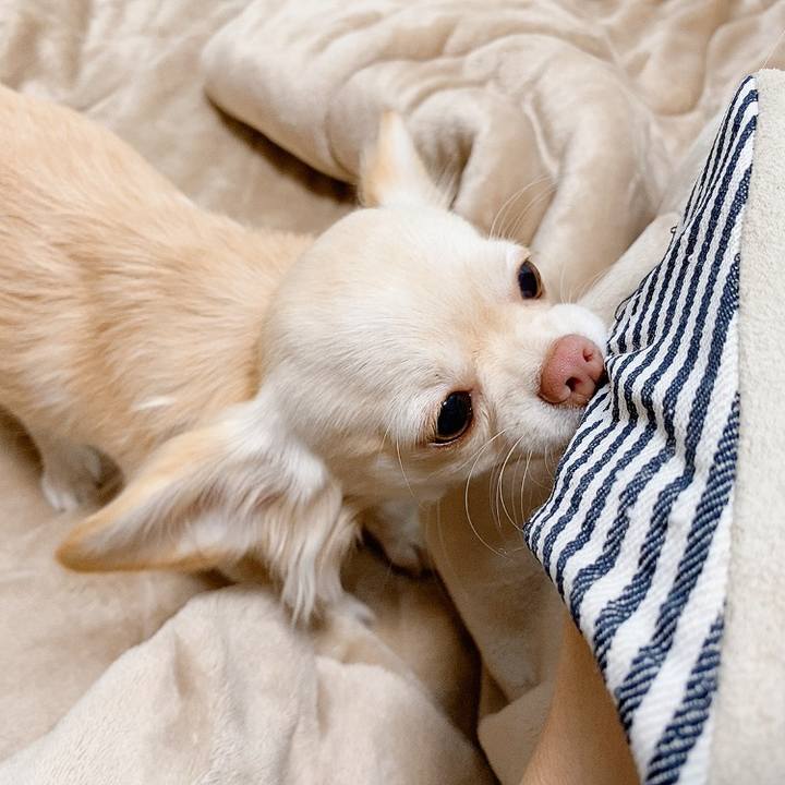 D5ea5a5a d3dd 4aff 93d0 0d129378aa94 1610355306670