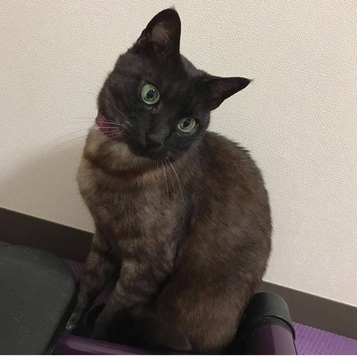 D5ea85e1 330d 4632 a5a8 8744c3742a5c 1620941599500