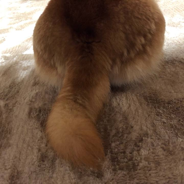 D5ea93ee 47d4 444b ba63 95f81d47aae9 1571915366209