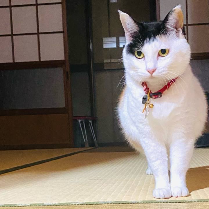 D5ead5d6 9670 42bf 9071 12d42f203aee 1711876726938