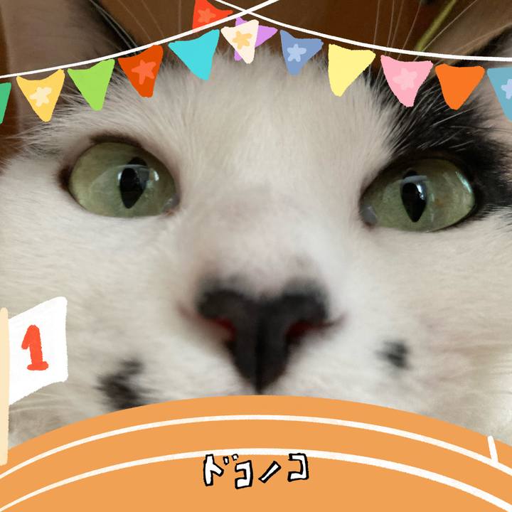 D5eae46c 4fa8 4dd9 a25c 5a98ff7e13ee 1761178439322