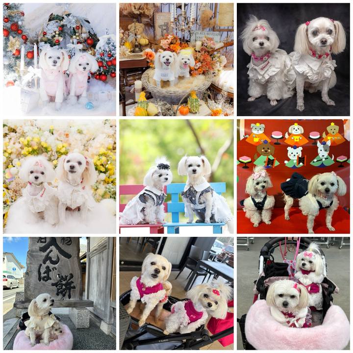 D5eae5d3 c3de 49d0 b93e c0d52947ba40 1767166548787