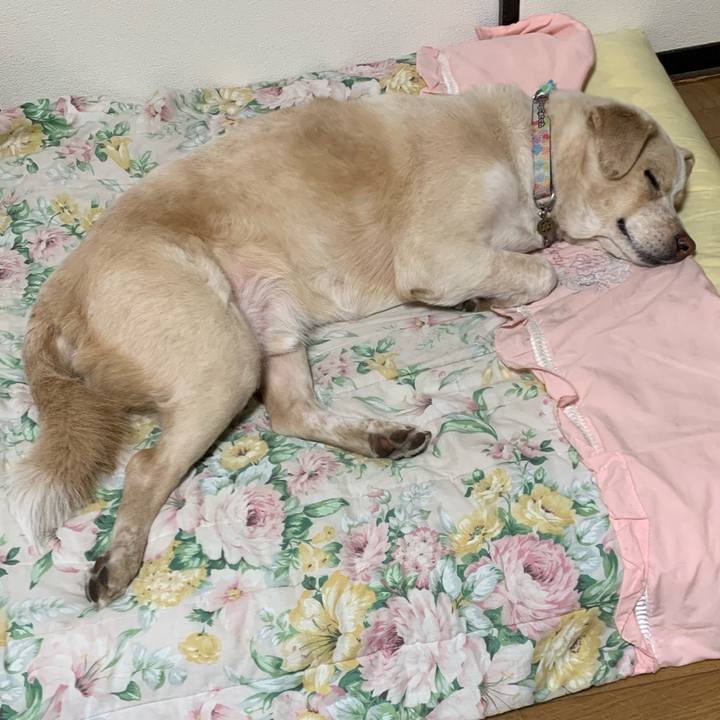 D5eaed81 b8b1 49e2 83f9 8a5698d7d770 1554548420438