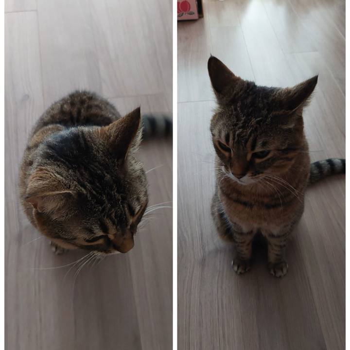 D5eaeeb6 5f2f 430b ba1b b68251a75ef6 1680248335535