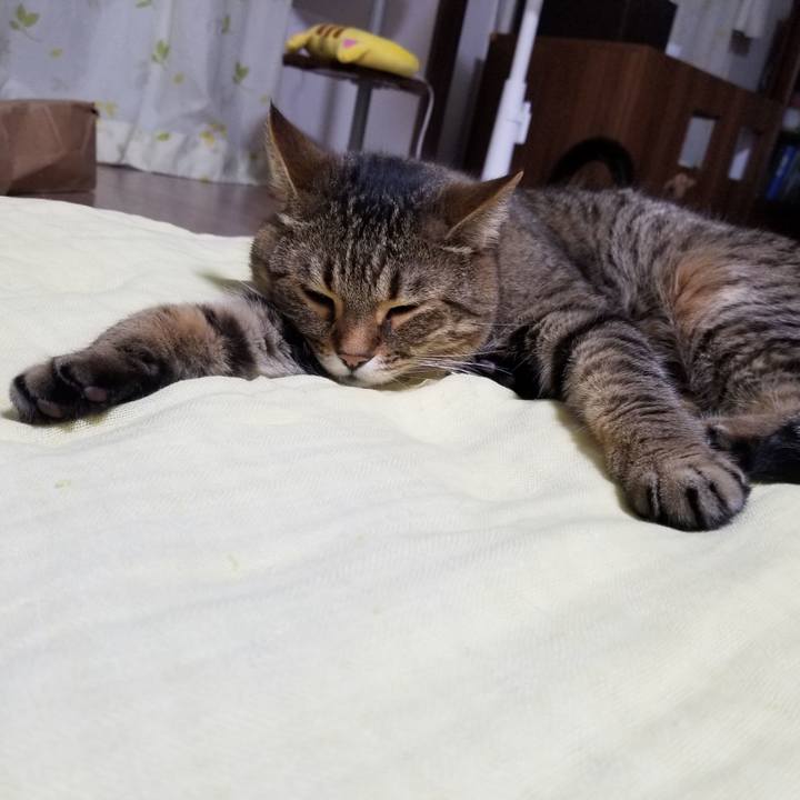 D5eb1a0c 3511 4af0 b241 bdcff4374a5a 1623327480042