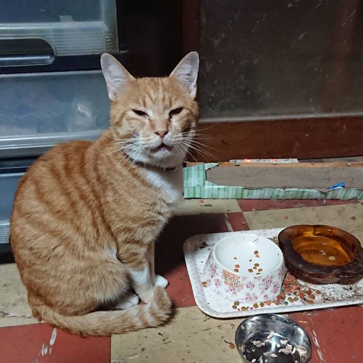 D5eb4106 50d6 49a0 8289 0b5da9a09aca 1571823783447