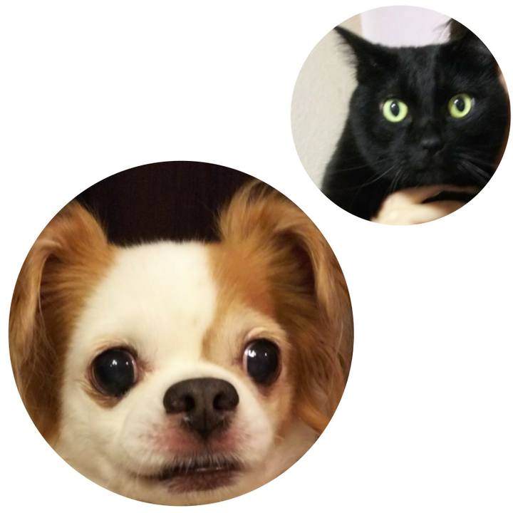 D5eb518b 5f8b 4b62 8b23 dc9d23c7e107 1511185720461