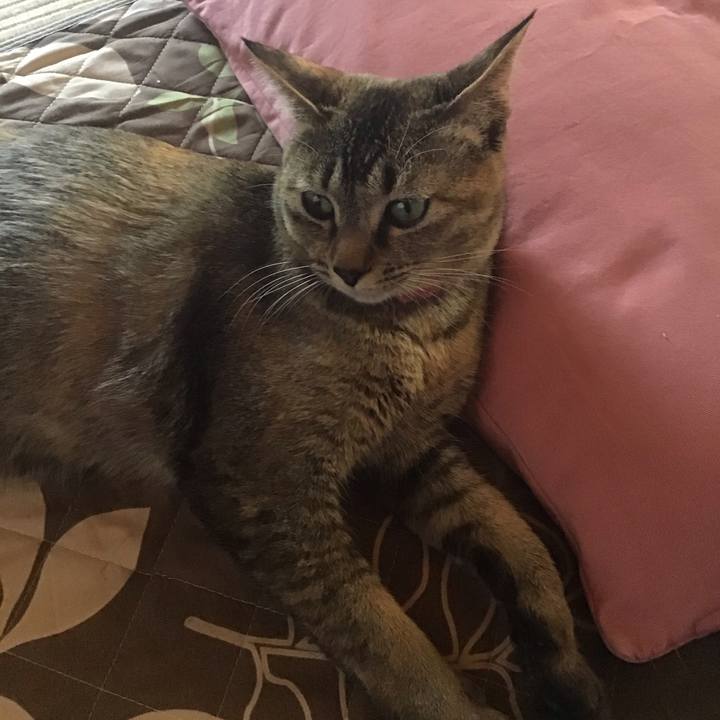 D5eba136 7aec 428f a6a2 a21e35ad4686 1589182385824