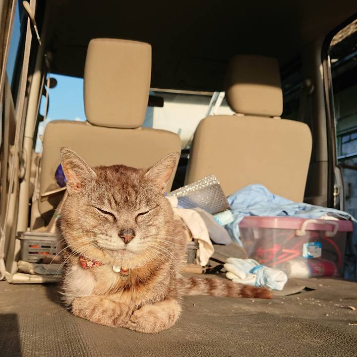 D5ebaaa8 b729 45ad 8321 f51710ad9bd2 1597268123082