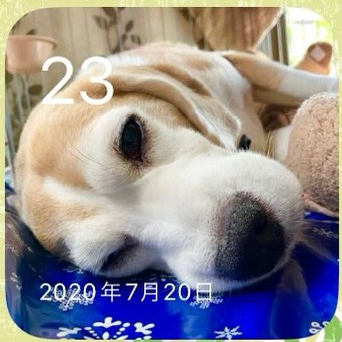 D5ebc5aa bed3 405f bd3b 21ff28ba021d 1721778427934