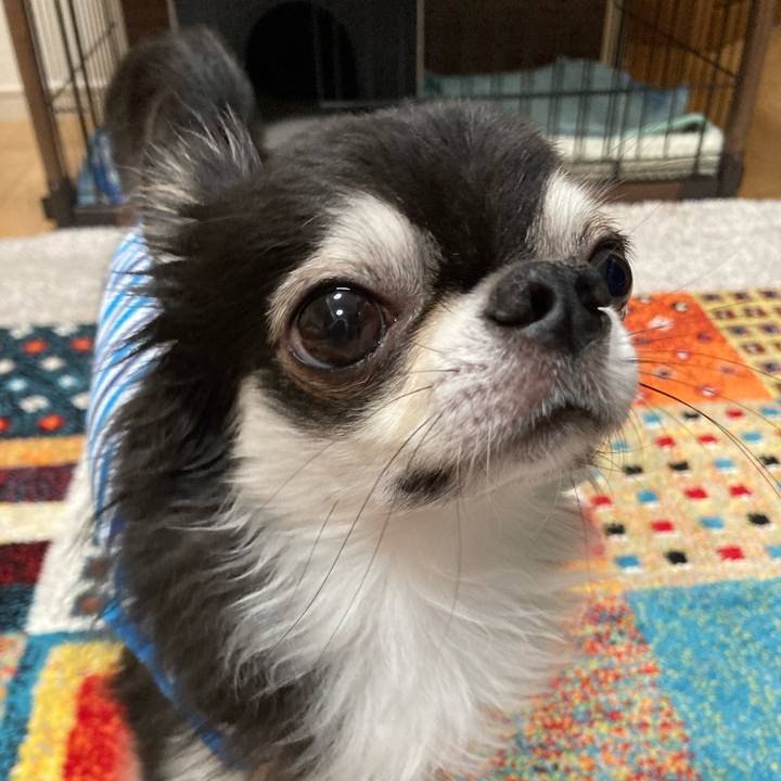 D5ec1782 5d5e 44ff bd78 326fd055a50e 1696171214284