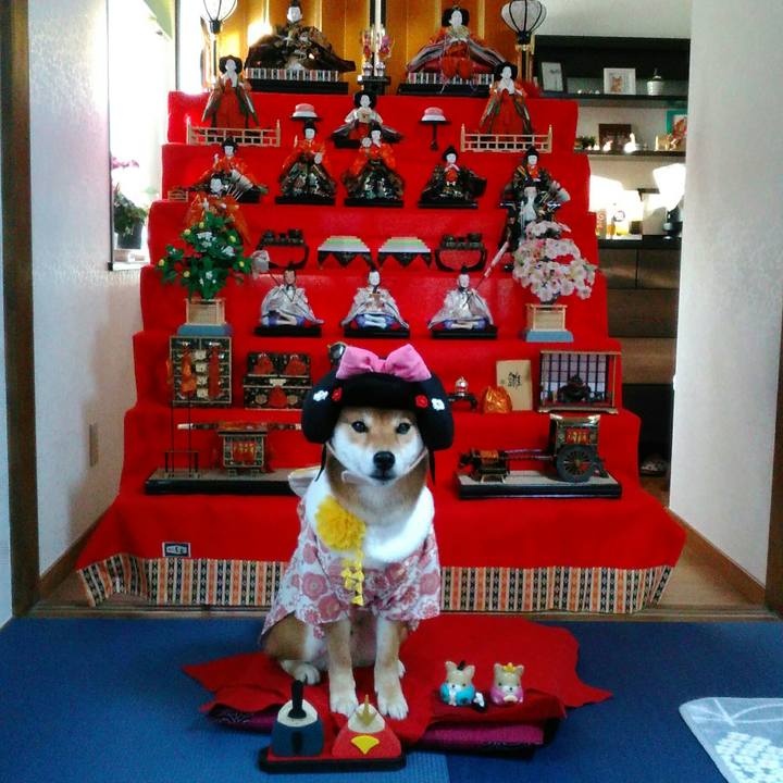 D5ec4017 2574 45df ab70 f64bcb5730e1 1519638042298