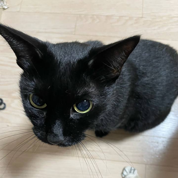 D5ec6975 c2da 493a 9e51 eb0ddb74297f 1731579598581