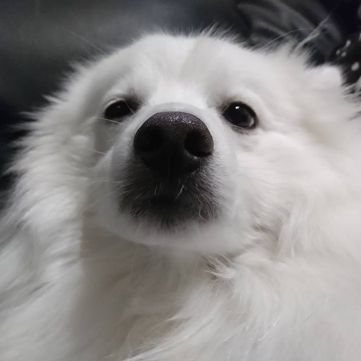 D5ec6ec8 4f68 42d3 9c64 5d6bd641691d 1582963048237