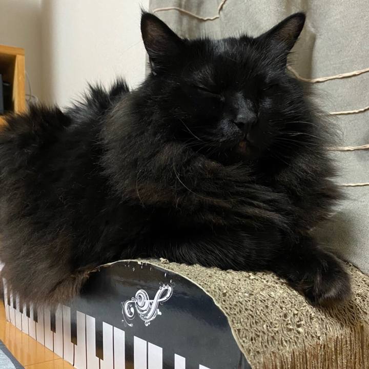 D5ec7944 c3fe 4b7b 814e e4a5fa7758e0 1579695250077