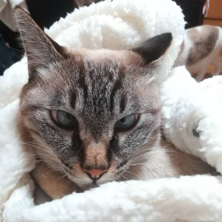 D5eccd87 d47c 4a2b a67f aff1f0e719ff 1604652923977