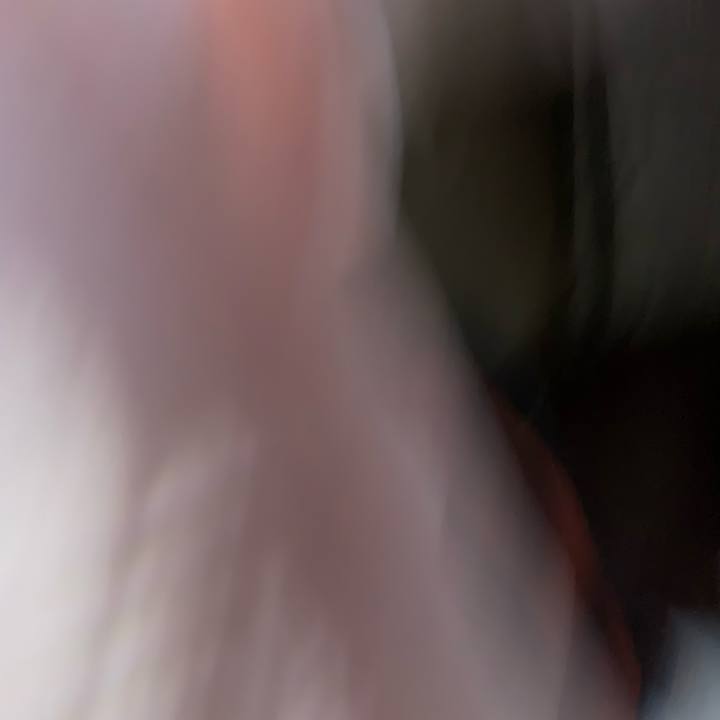 D5ecfb0f bb91 43a1 828b 78cc4ecd0135 1582240377293