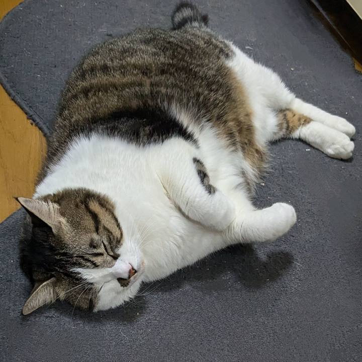 D5ed421e 3e0f 485c 98f1 99b0901fd887 1733142500133