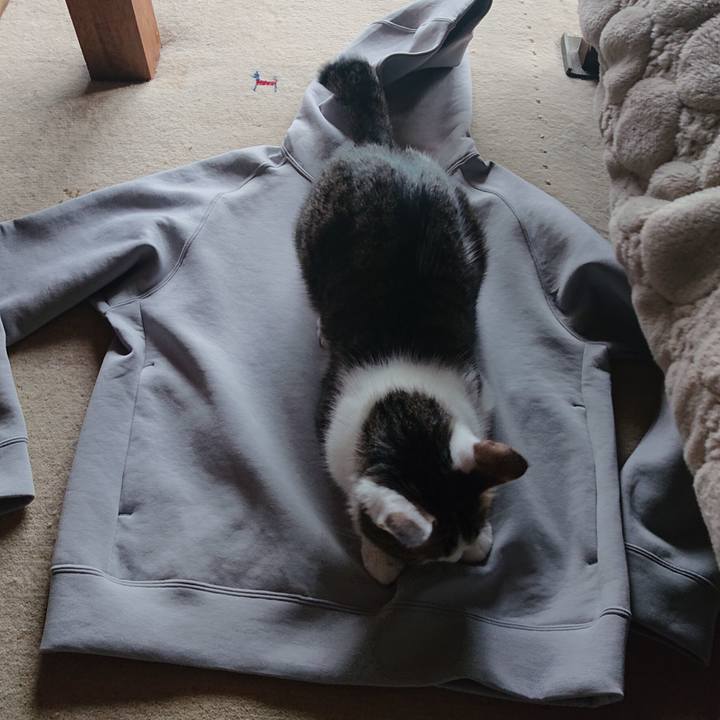 D5ed45d7 449a 4e12 8c8d d2bba3b9a38f 1646376348977