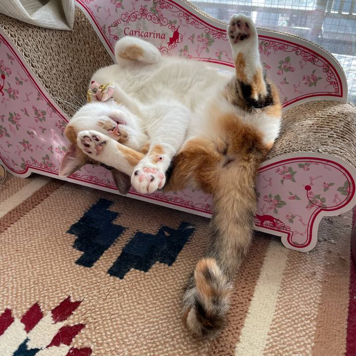 D5ed50c4 a967 4219 b727 2e642f4ceedb 1625999240170