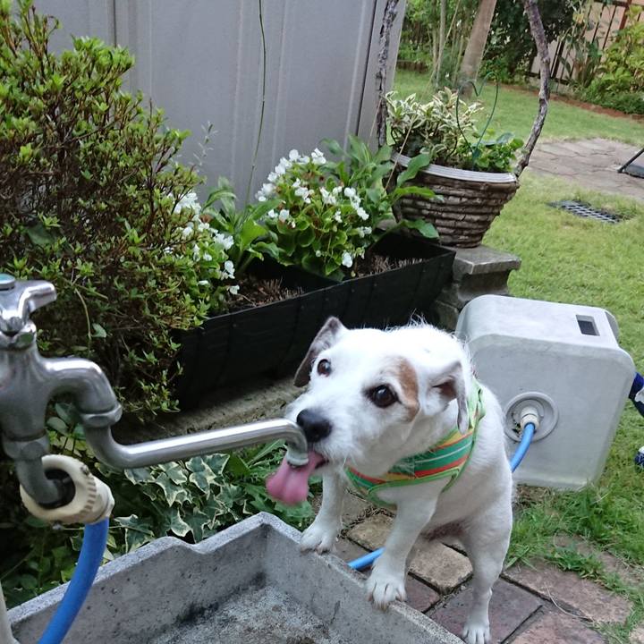 D5ed539a 62b9 4493 a0e6 74bbfa23d8dd 1536707597872