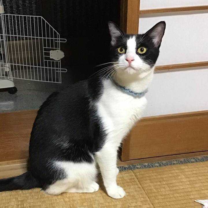 D5ed6dbc f0d5 4b1c aec0 49ec03a8c8ee 1662028648365