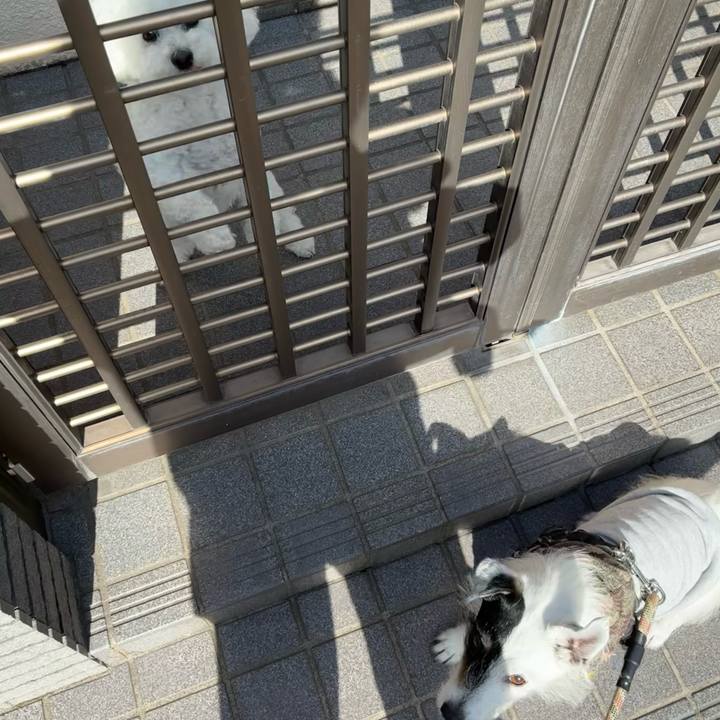 D5edc2e7 3bbb 41ac 97f1 b3f528f4ec0b 1774570951090