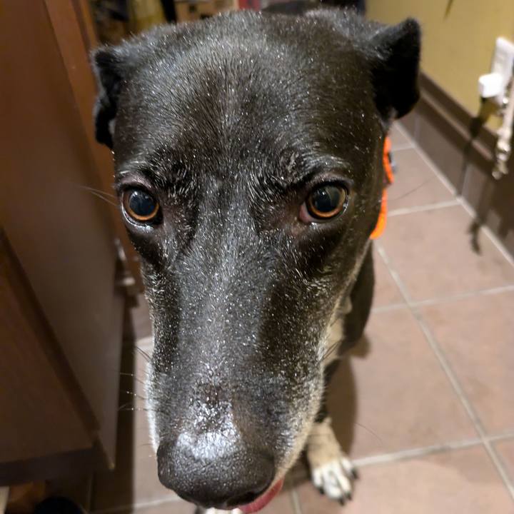 D5ee1af6 154a 4e9f b5f8 4171afdec134 1725013434458