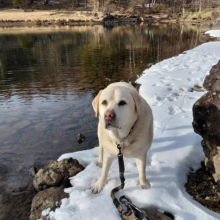 D5ee775f 96f1 402d accc f4adbd25caac 1773311558163