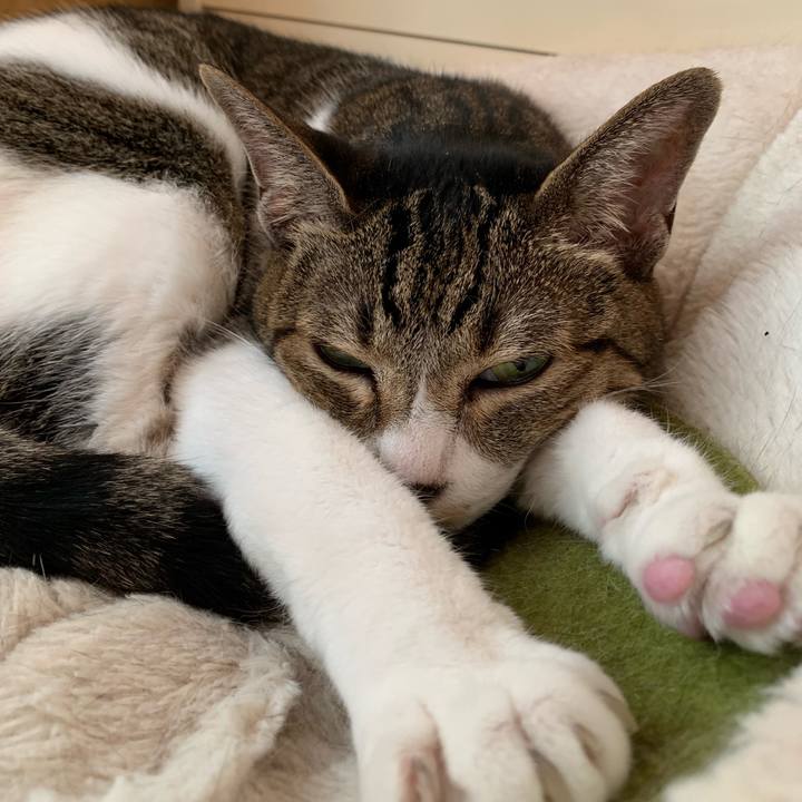 D5ee9b44 3d50 43ee 941c dd7fd007b51d 1569805639209