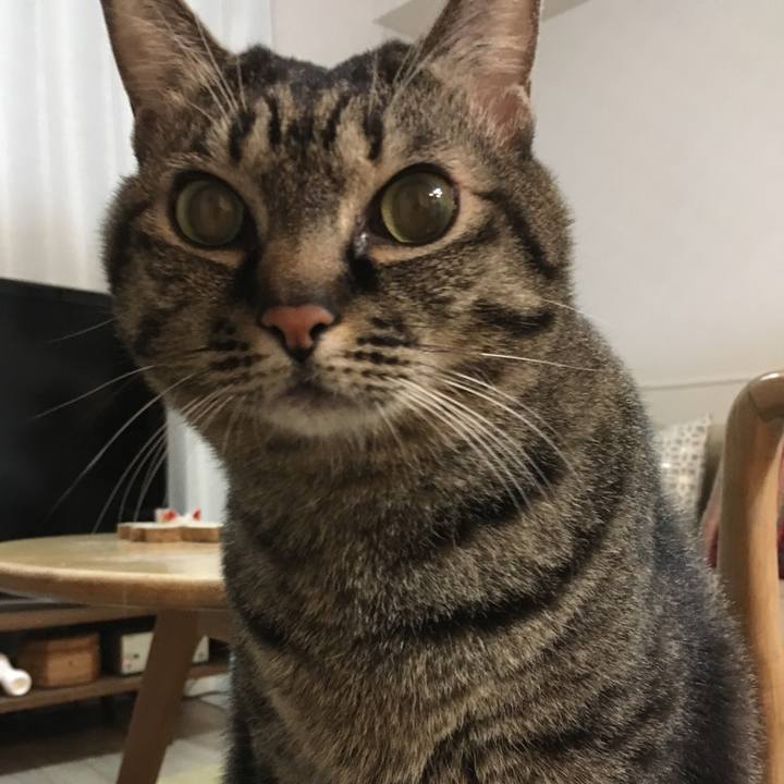 D5eeb182 1407 4e9b 9ff1 3e1b1bd79140 1577185432677