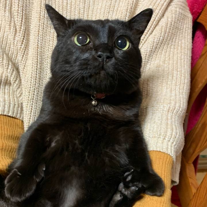 D5eef013 ac06 4ac8 935e 01ced75c2eb8 1583152930208