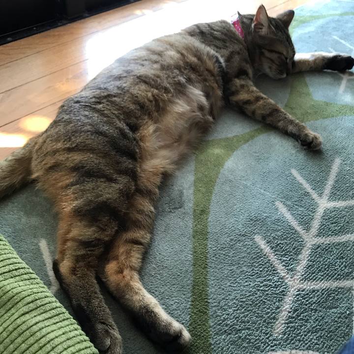 D5ef09cb 84eb 4823 9db4 fc391f51ba94 1585297182629