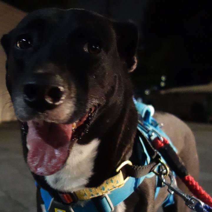 D5ef81dd ce81 4b07 98f7 8df23db9e195 1634034868939