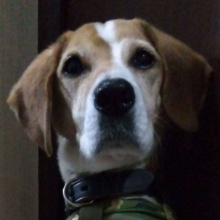 D5ef9ff6 3418 48a0 9a56 09857200ee76 1711693439830