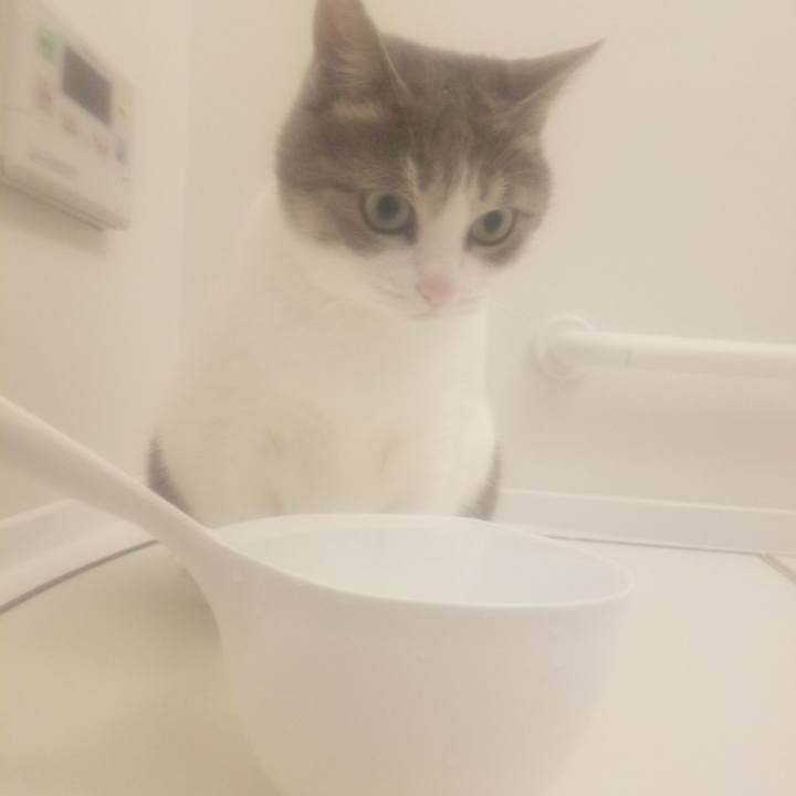 D5efe7f7 04a0 402d aee3 0d59650cc8ba 1651321749251