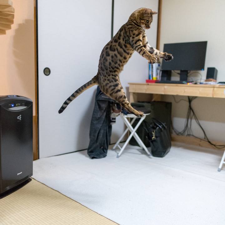 D5f00aab c695 4e8f 9b1c 1b5ff8bb9e02 1521207613199