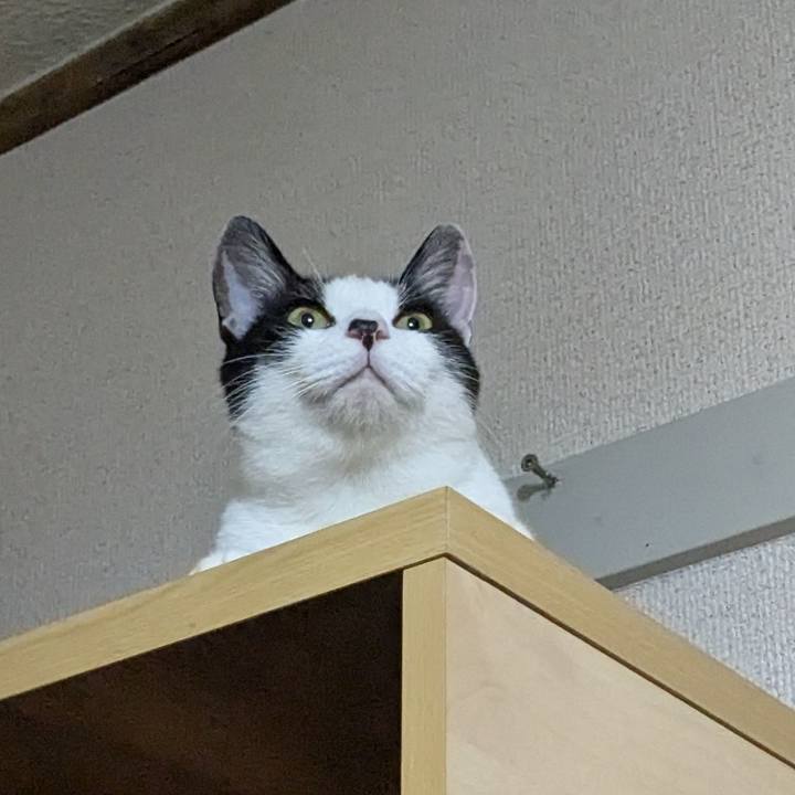 D5f00dbb bab2 4b0c bea3 397feb5afd8d 1758205816082