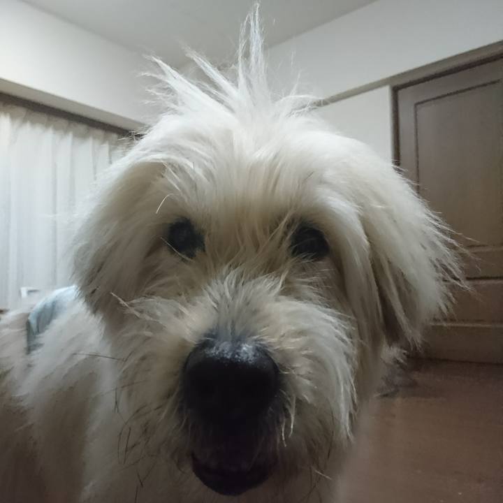 D5f010c0 7692 4700 b0bb 1498faae7080 1583484835854