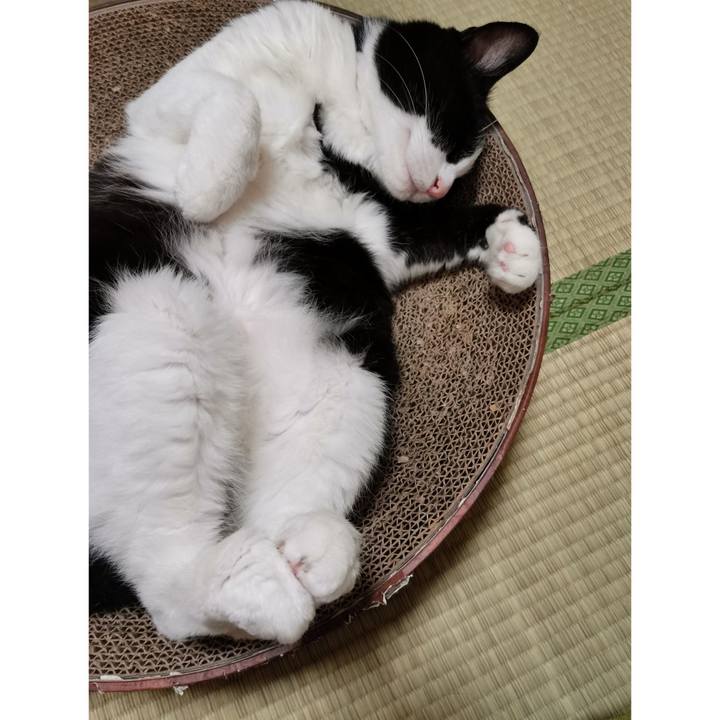 D5f01b73 b4ba 4f5b 80b6 03868fc1e915 1689493196252