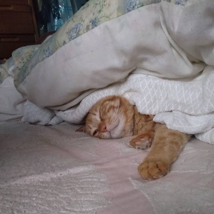 D5f03c48 949b 4026 8c28 d6c2ec4f9b6d 1708067721875